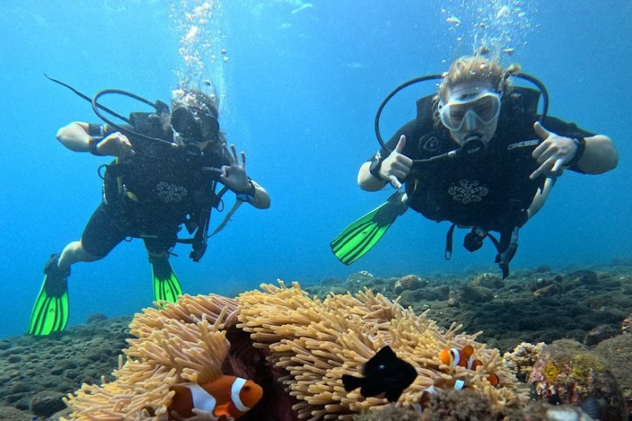 Fresh Fins Scuba Diving