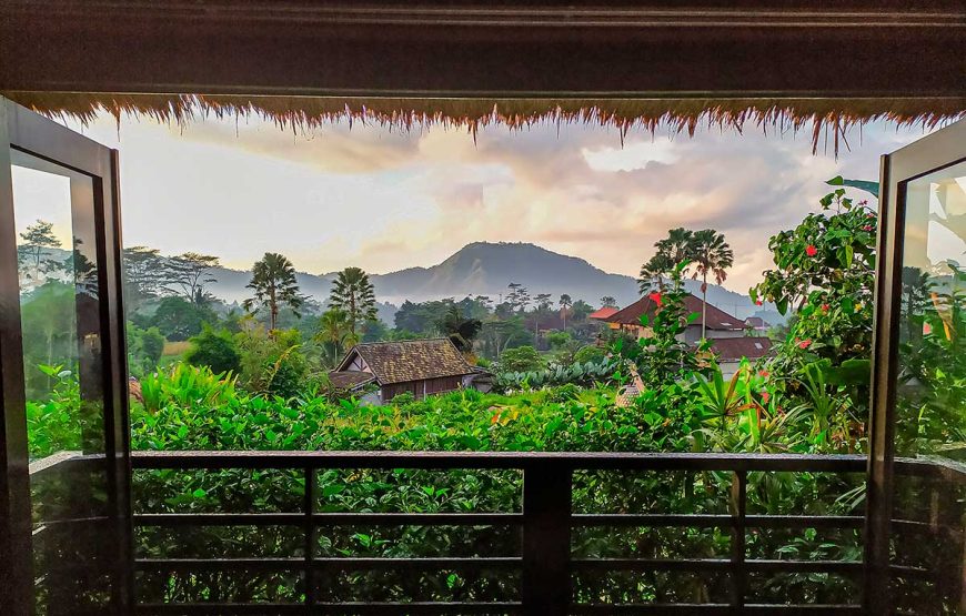 Kenyeri Villa – Executive