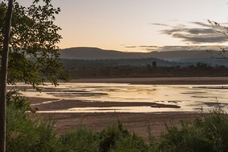 Madagascar Classic Collection