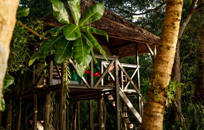 Masoala Forest Lodge