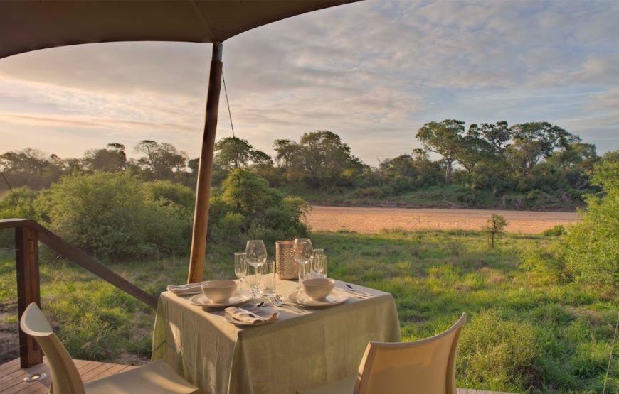 Ngala Tented Camp – Kruger National Park, South Africa