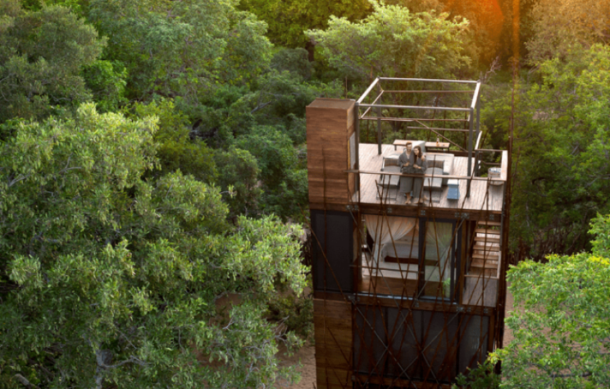 The Ngala Treehouse Experience