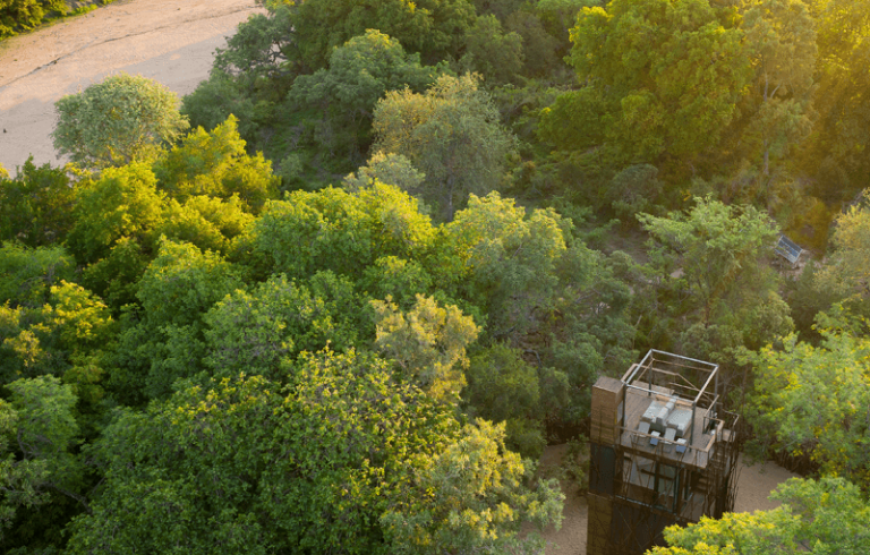 The Ngala Treehouse Experience