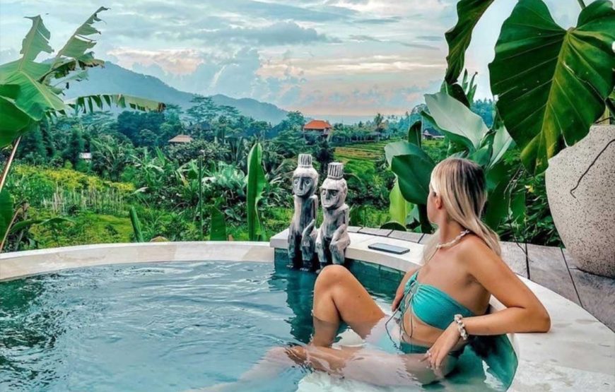 Rice Barn private pool villa