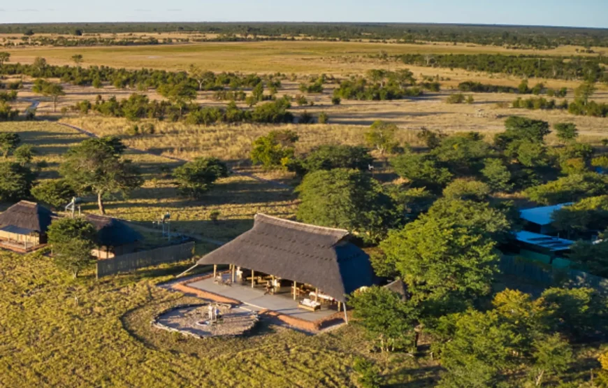 Draft Wild Expeditions