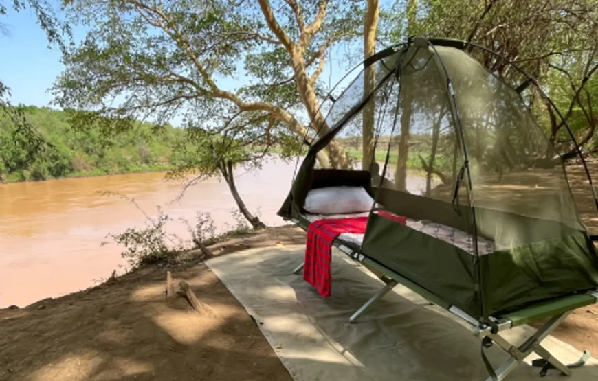 Draft Wild Expeditions