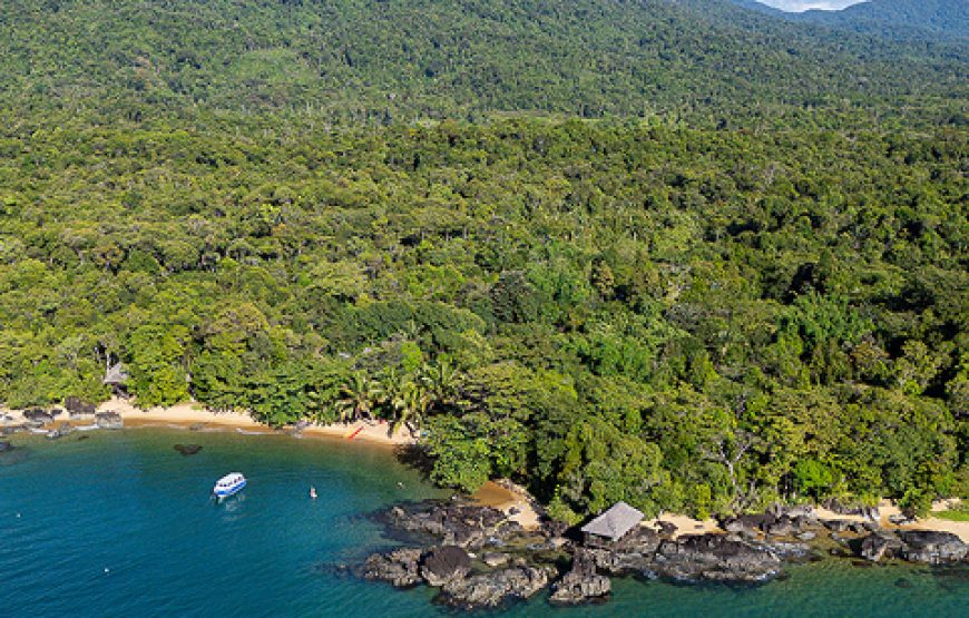 Draft Wild Expeditions