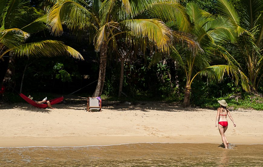 Draft Wild Expeditions