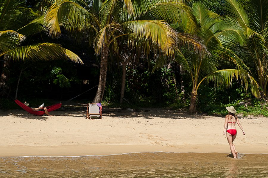 Draft Wild Expeditions