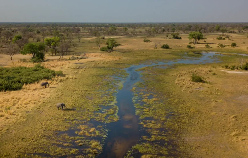 Draft Wild Expeditions