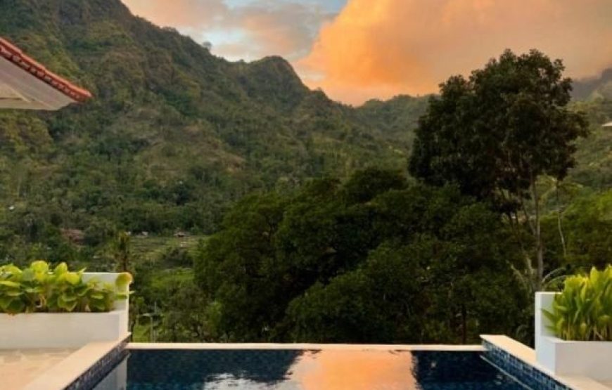 The Tropical Habitat Bali