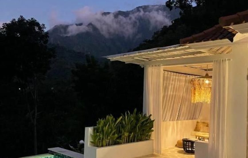 The Tropical Habitat Bali