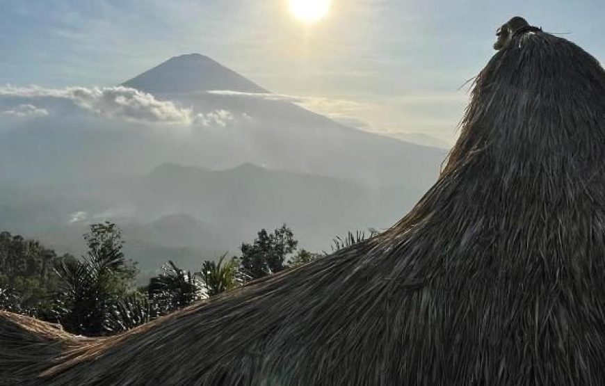 The Tropical Habitat Bali