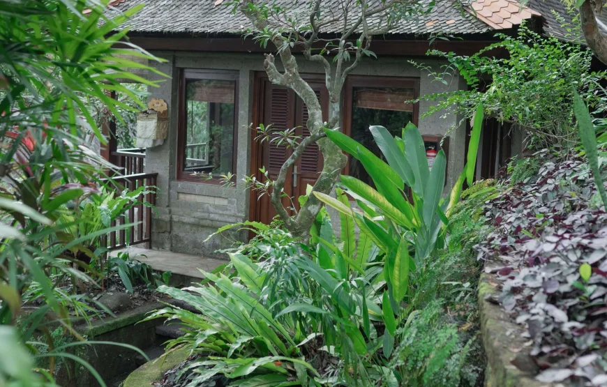 Treetops Lodge