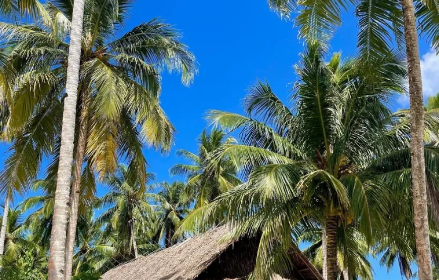 Kingfisher Surf Resort