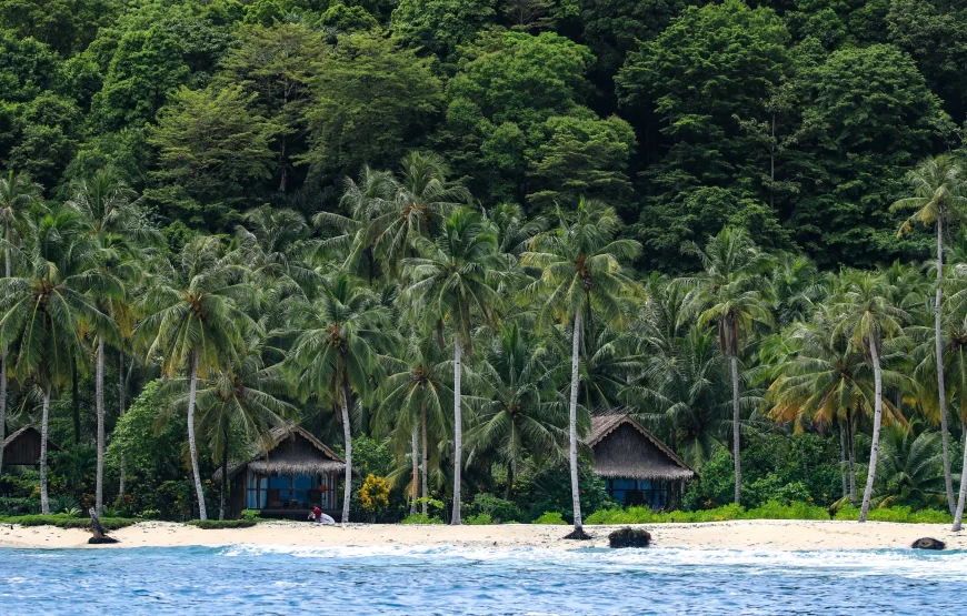 Kingfisher Surf Resort