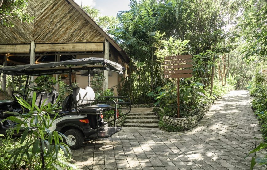 The Mesare Eco Resort