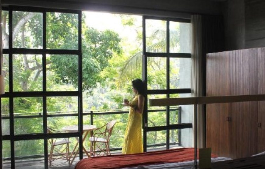 Staycation Offer at Forest Suite
