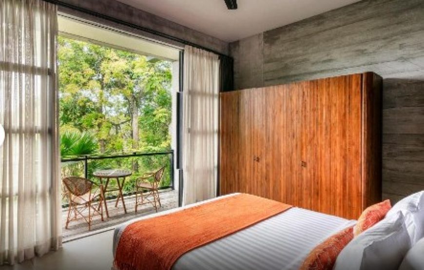 Staycation Offer at Forest Suite