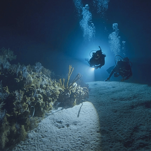 Nusa Lembongan – Night Dive