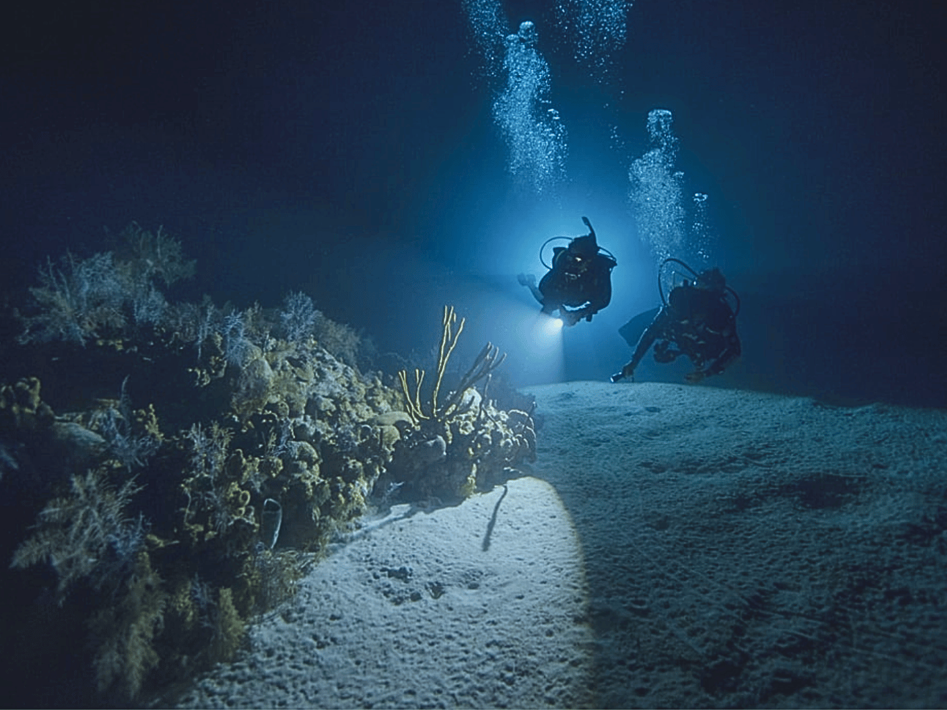 Nusa Lembongan – Night Dive