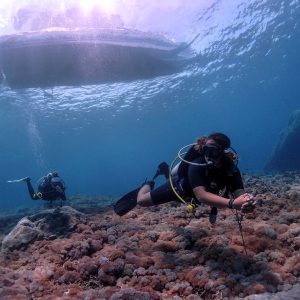 Nusa Lembongan – 2 Guided Fun Dives